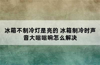 冰箱不制冷灯是亮的 冰箱制冷时声音大嗡嗡响怎么解决